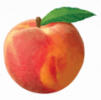 peach-png-image-from-pngfre-42